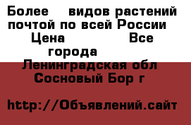 Более200 видов растений почтой по всей России › Цена ­ 100-500 - Все города  »    . Ленинградская обл.,Сосновый Бор г.